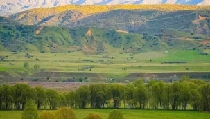 Kırsal Kalkınmada Uzman Eller Projelerine başvuru sonuçları açıklandı. ..