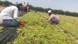 Köylerde sosyal hayata dair geliştirmeler yapılmalı