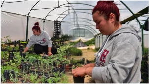 Kuaförlüğü bırakıp çiftçi oldu! 'Metropol bir şehirde köy hayatı yaşıyorum'