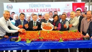 KUZEY YARIMKÜRENİN İLK KİRAZI