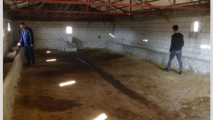 Memlekette Ahırlar Boş Kalıyor! 