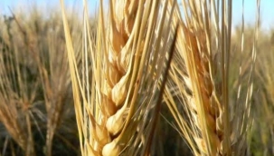 OKUYUN VE ÜZERİNDE DÜŞÜNÜN LÜTFEN 