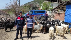 "Ormanlık alanda kayboldular, jandarma dronla buldu"