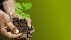 TOHUMU EKECEK TEMİZ YÖNETİCİ KALDI MI?