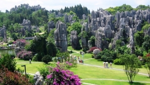 Türkiye'nin dağlarını kesip sattığı Çinliler kendi dağlarını neden koruyor!