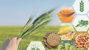 Türkiye Tohumcular Birliği: Tarımda üreten değil klimalı odada oturan kazanıyor!