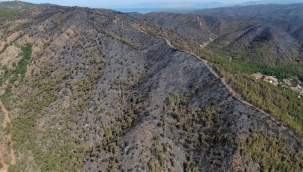 5.Günde Marmaris Yangın Alanından Son Hava Görüntüleri 