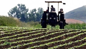 ​​​​​​​ÇİFTÇİLERİMİZİ SUÇLAMAK KOLAY...