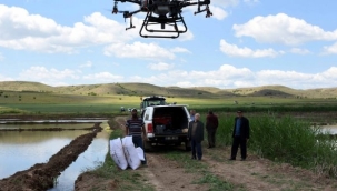 Çiftçilerin drone ile çeltik ekim mesaisi başladı