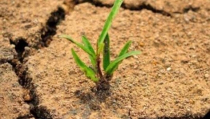 Çölleşme ile mücadelede geleceği birlikte inşa edelim!