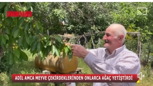 ÇORUMLU 75 YAŞINDAKİ ADİL AMCANIN ÇABASIYLA MEYVE ÇEKİRDEKLERİ ONLARCA AĞACA DÖNÜŞTÜ