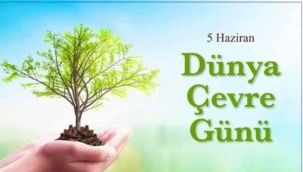 Dünya Çevre Günü'nü niçin kutluyoruz? 