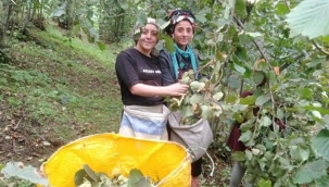 FINDIK İHRACATI VE YENİ SEZONDAN BEKLENTİLER