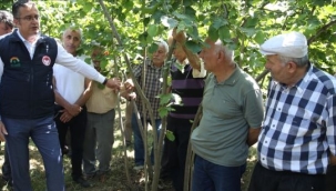 Fındık üreticileri daha yüksek verim ve kalite için "Bahçe Okulu" nda