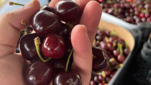 Geyve'nin  Artık #GEYVA var…