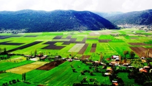 Köylülerin toprak rüyası nasıl kabusa döndü?