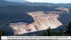 MADENCİLİK FAALİYETLERİNİN İKLİME ETKİSİ