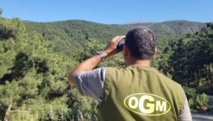 Manisa Ormanlarına Girişler 1 Haziran'dan İtibaren Yasaklandı 