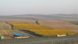 Marmara OSB; tarım alanına inşa ediliyor! 