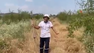 MAZOT OTUZA TIRPAN KOLA OMUZA 