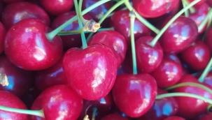 NEDEN DAHA FAZLA KİRAZ TÜKETMELİYİZ.?