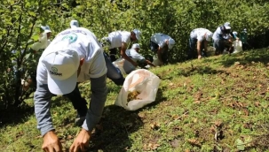 ORDU BÜYÜKŞEHİRDEN FINDIK SEZONUNU RAHATLATAN ÇALIŞMA 