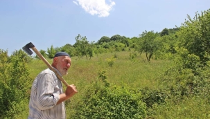 Ormanlardan Topladığı Kurumuş Dalları El Emeğine Çeviriyor .