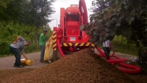 Patoz ücreti üreticinin cebini yakacak