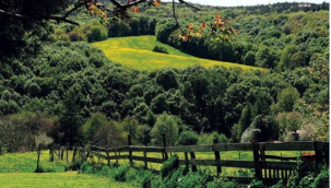 Polonezköy "Kesin Korunacak Hassas Alan" İlan Edildi