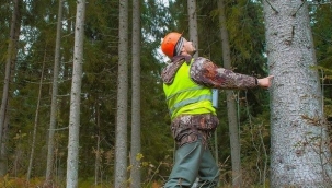 T.C. Tarım ve Orman Bakanlığı PERSONEL ALIMI