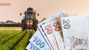 Tarım ve Orman Bakanı Vahit Kirişçi, tarımsal destek ödemeleri kapsamında açıklama yaptı