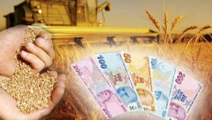 Tarımda başarılı proje hazırlayan çiftçiye dolar bazında hibe verilecek!