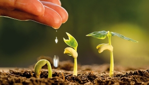 Tarımda iklim dostu yeni üretim ve destekleme modelleri uygulanacak