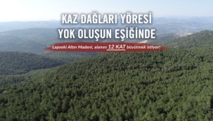TEMA Vakfı: "Kaz Dağları Yöresi" madencilik faaliyetleri sebebiyle yok oluşun eşiğinde!