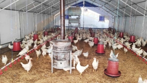 Yumurta üreticileri uyardı: Yumurta krizi kapıda