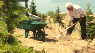 38 yılda diktiği 30 bin fidanla köyün 'Toprak Dedesi' oldu