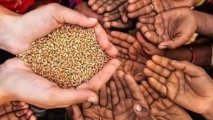 ANKARA'DA BİR TOHUM DAĞITIMI VE TANIŞMA TOPLANTISI İSTER MİSİNİZ?