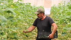 ANTALYA VE MERSİN'DE GÖRDÜĞÜ SERAYI, TIRINI SATIP KÖYÜNDE KURDU