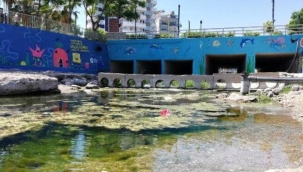 DEREYE ATILAN ÇÖPLER, BALIKLARI ÖLDÜRÜYOR