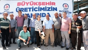 Hibe desteği çiftçinin yüzünü güldürdü