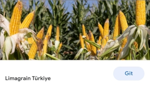 KÖYLÜLER KENDİ TOPRAĞINDA KÖLE