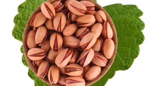 Siirt fıstığı ihracatında yeni ülkelerle imzalar atıldı