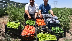 Şırnak'ta çorak araziler tarıma kazandırıldı