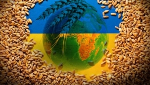 Tahıl Koridoru anlaşması buğday fiyatlarını nasıl etkileyecek?