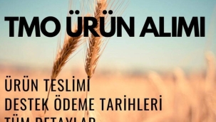 Ürünümü TMO'ya ne zaman teslim edebilirim?
