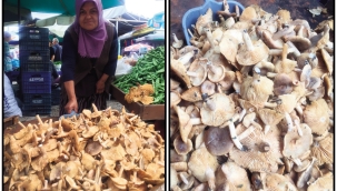 YAĞIŞLI HAVA EN ÇOK ONA YARADI!