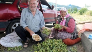 Yeni sezon fındığı yol kenarlarında satışa çıktı