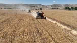 ALTERNATİF YEM BİTKİSİ 'TRİTİKALE'NİN HASADI BAŞLADI