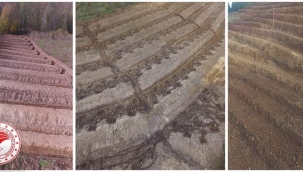 FINDIK BAHÇELERİNİN REHABİLİTASYONU HİBE DESTEĞİ!