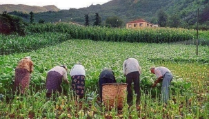 Tarımsal destek ödemeleri bugün çiftçilerin hesabında